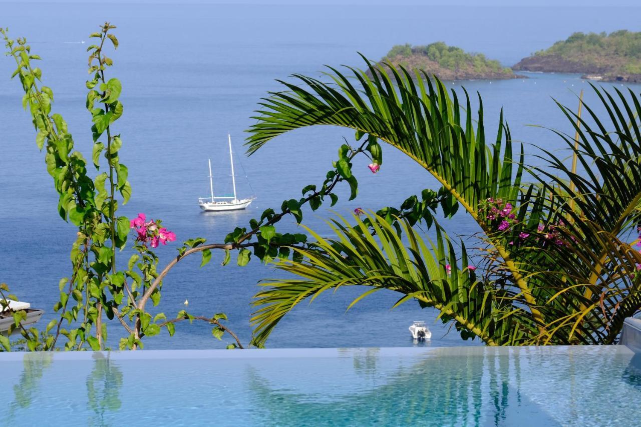 Sunset Palm - Villa Creole Avec Piscine Face Au Coucher De Soleil Et A La Reserve Cousteau Bouillante Eksteriør billede