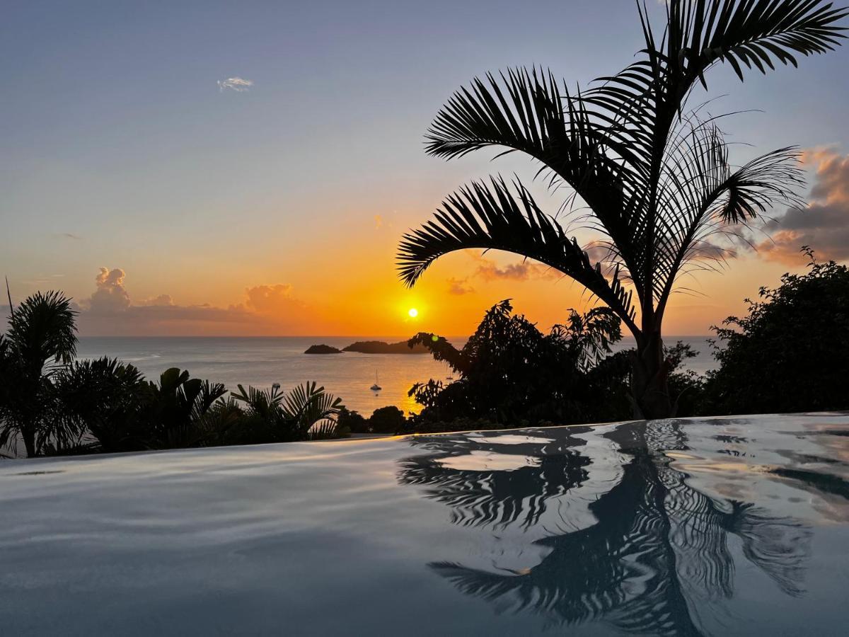 Sunset Palm - Villa Creole Avec Piscine Face Au Coucher De Soleil Et A La Reserve Cousteau Bouillante Eksteriør billede